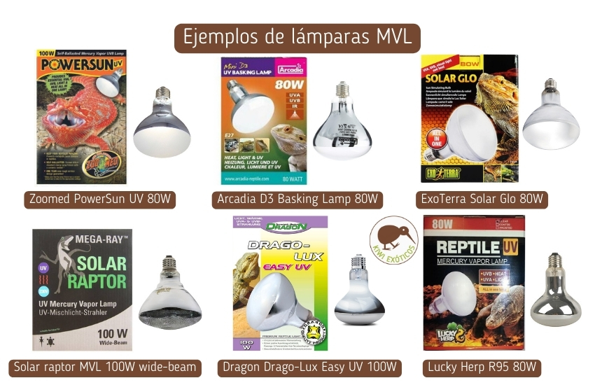 Modelos de lámparas de vapor de mercurio para terrarios de reptiles