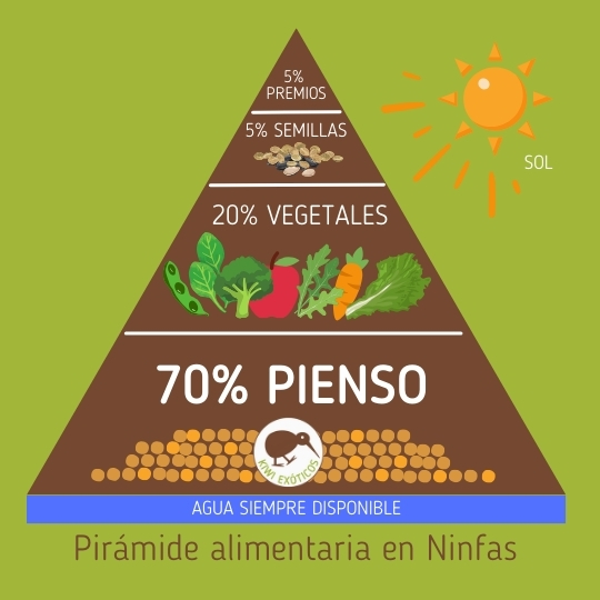 Pirámide alimentaria en ninfas
