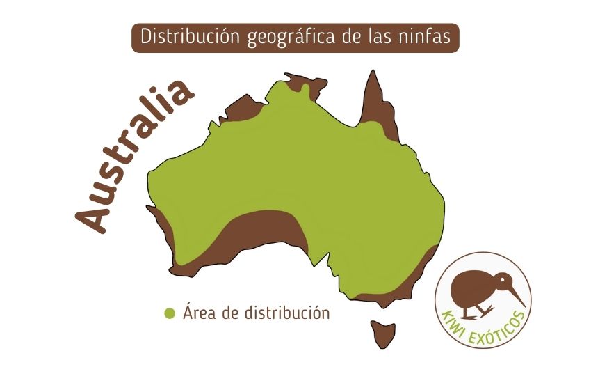 Mapa de distribución geográfica de las ninfas en Australia