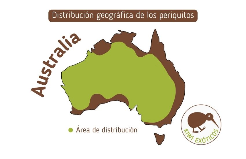 Mapa de distribución geográfica de los periquitos